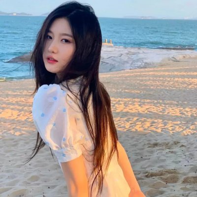 聪明的驴子 海报